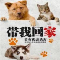 文山壮族苗族自治州文山市明曦流浪动物救助团队