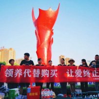 六安市（皋城）流浪动物关爱救助中心