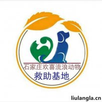 石家庄欢喜流浪动物救助基地联系方式