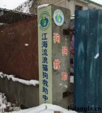 江苏南通市江海流浪动物救助中心 - 江海小动保基地地址联系方式