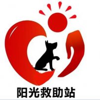 乌鲁木齐市流浪狗领养。乌市阳光流浪狗救助站