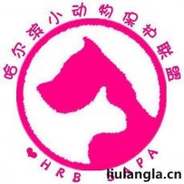 哈尔滨小动物保护联盟