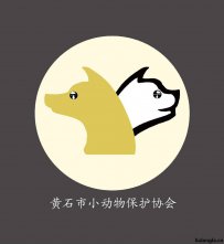黄石市小动物保护协会