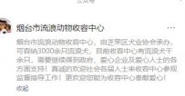 烟台市流浪动物收容中心