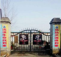 三门峡市义马市流浪动物救助中心
