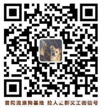 舟山市普陀流浪狗基地