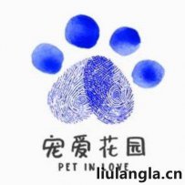 深圳市 宠爱家园流浪狗领养中心