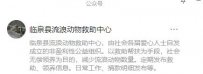 安徽阜阳市阜阳市临泉县流浪动物救助基地