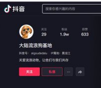 大庆大陆流浪狗救助基地