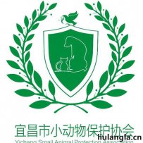 宜昌市小动物救助站 关爱小动物