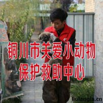 铜川市关爱小动物保护救助中心