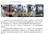 丹东市流浪动物救助保护协会