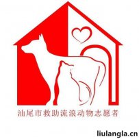 汕尾流浪动物救助站