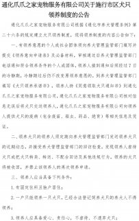 通化市 爪爪之家 流浪狗救助基地