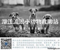 潜江市流浪动物救助站