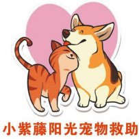 汕头小紫藤阳光宠物救助站