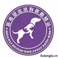 乌鲁木齐市新希望流浪狗救助领养驿站