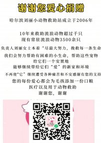 哈尔滨小动物救助站-丽天使流浪动物救助基地