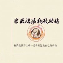 北京密云流浪狗救助站