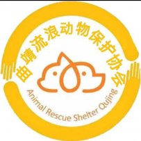 曲靖市麒麟区流浪动物保护协会