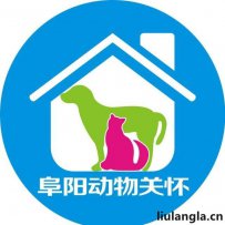 阜阳市 动物关怀 - 阜阳宠物救助基地