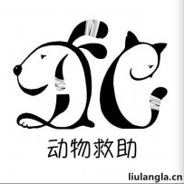 沈阳流浪狗救助站