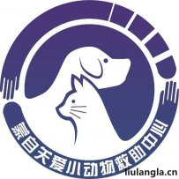 云南红河哈尼族彝族自治州蒙自关爱小动物救助站
