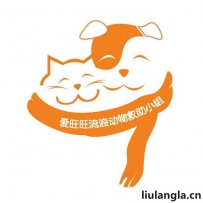 保定市爱旺旺流浪动物救助小组救助站位置以及联系电话