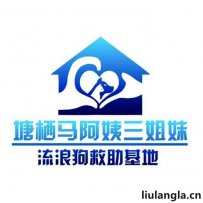 杭州马阿姨流浪狗基地