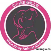 昆明亿心流浪宝贝救助基地地址