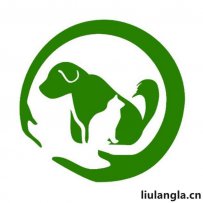 合肥市 小动物关怀中心，安徽善之源流浪动物保护教育基地