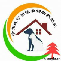 徐州市 红杉树流浪动物之家