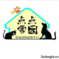 石家庄点点家园流浪动物救助中心
