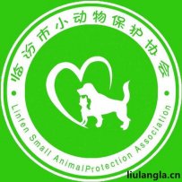 临汾市小动物保护协会