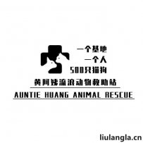 上海黄阿姨流浪动物救助站AHAR上海