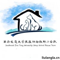 成都西南交大流浪动物救助小分队