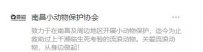 南昌小动物保护协会-南昌流浪狗救助基地