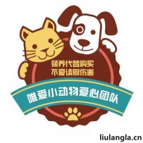沈阳唯爱流浪动物救助之家