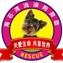 兰州海石湾流浪动物救助站