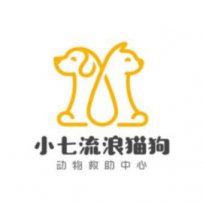 重庆小七流浪猫狗动物救助中心