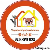 锡林郭勒盟 多伦县 爱心之家流浪动物救助基地