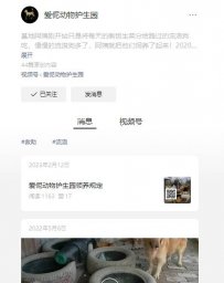 徐州台州温岭爱伲动物护生园